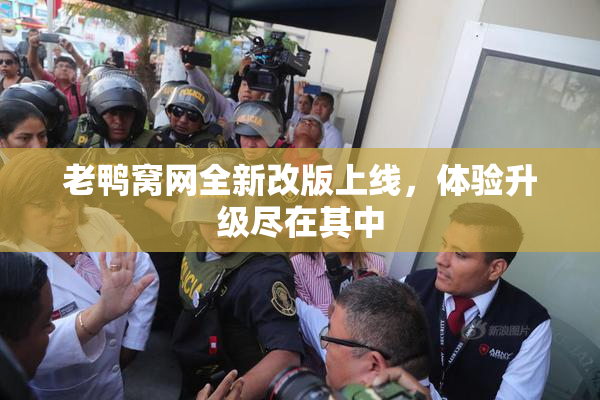 老鸭窝网全新改版上线，体验升级尽在其中