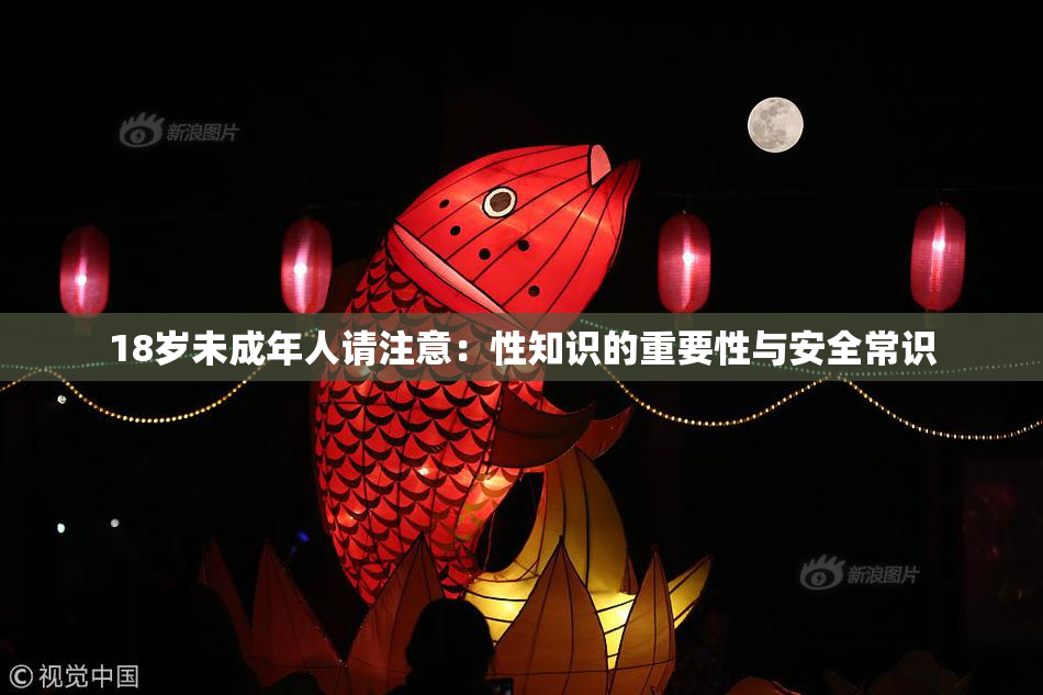 18岁未成年人请注意：性知识的重要性与安全常识