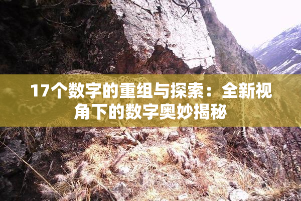 17个数字的重组与探索：全新视角下的数字奥妙揭秘