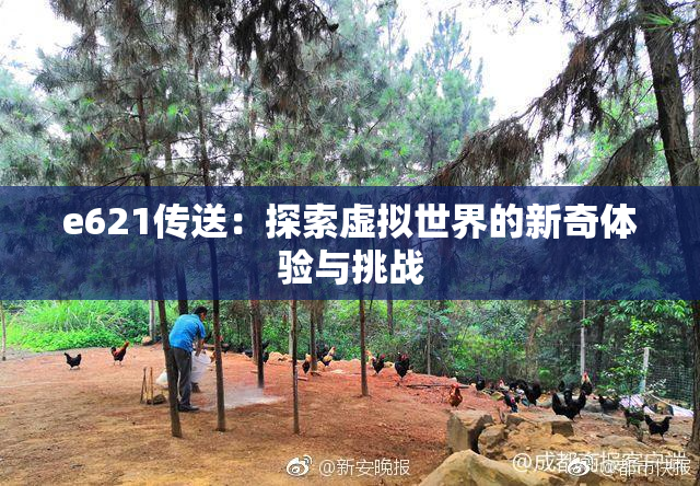 e621传送：探索虚拟世界的新奇体验与挑战