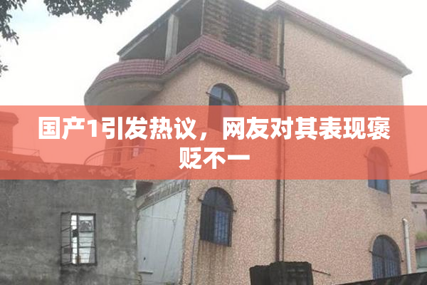国产1引发热议，网友对其表现褒贬不一