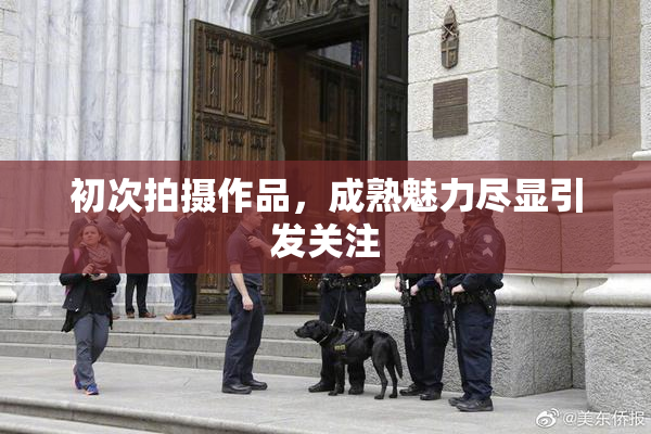 初次拍摄作品，成熟魅力尽显引发关注