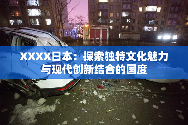 XXXX日本：探索独特文化魅力与现代创新结合的国度