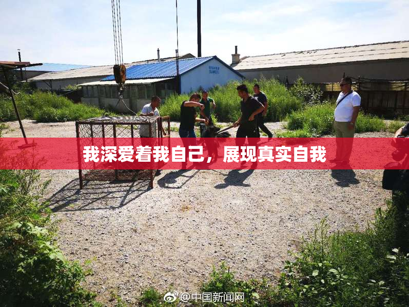 我深爱着我自己，展现真实自我