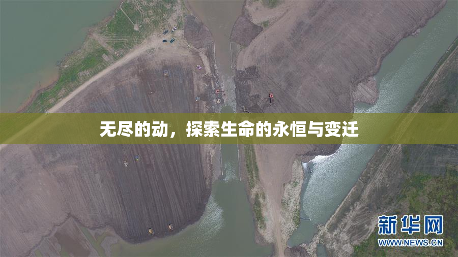 无尽的动，探索生命的永恒与变迁