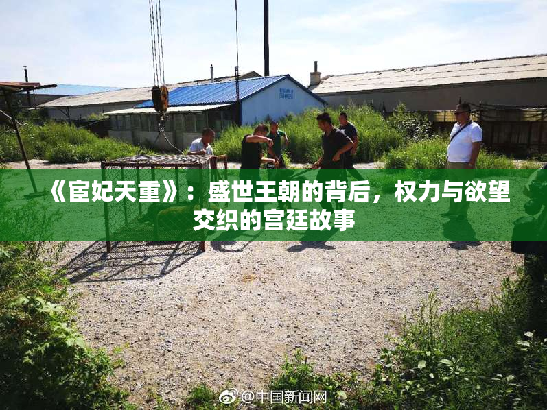 《宦妃天重》：盛世王朝的背后，权力与欲望交织的宫廷故事