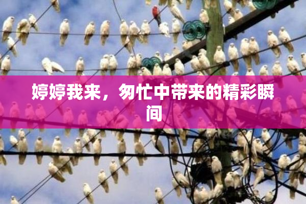婷婷我来，匆忙中带来的精彩瞬间
