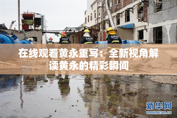 在线观看黄永重写：全新视角解读黄永的精彩瞬间