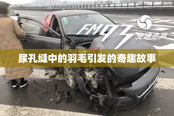 尿孔缝中的羽毛引发的奇趣故事
