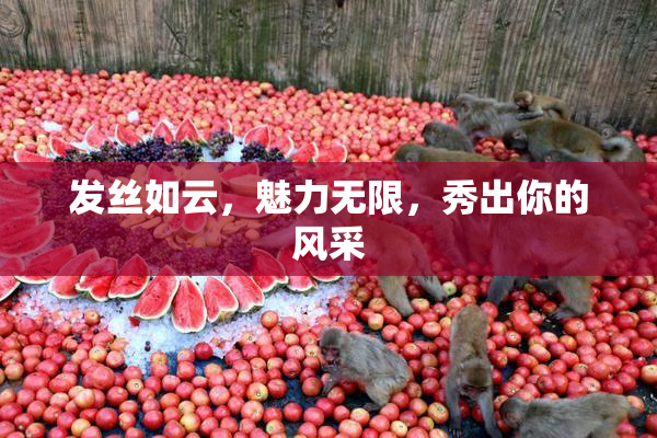 发丝如云，魅力无限，秀出你的风采