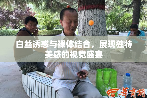白丝诱惑与裸体结合，展现独特美感的视觉盛宴