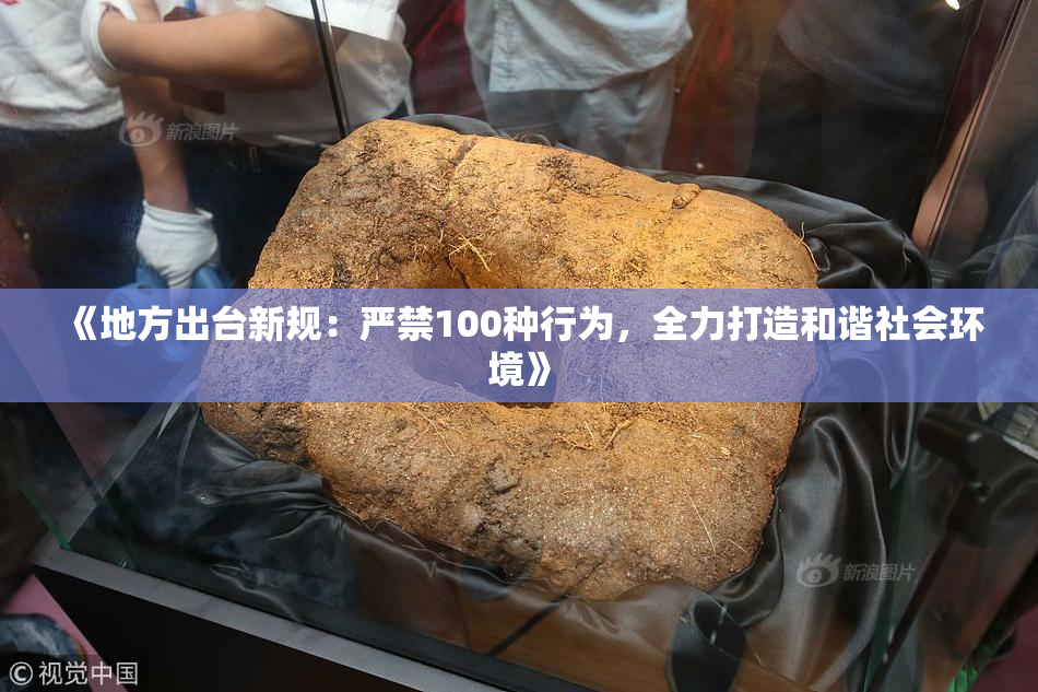 《地方出台新规：严禁100种行为，全力打造和谐社会环境》