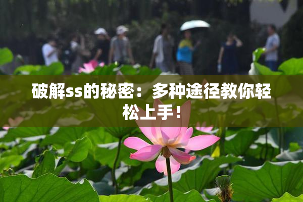 破解ss的秘密：多种途径教你轻松上手！