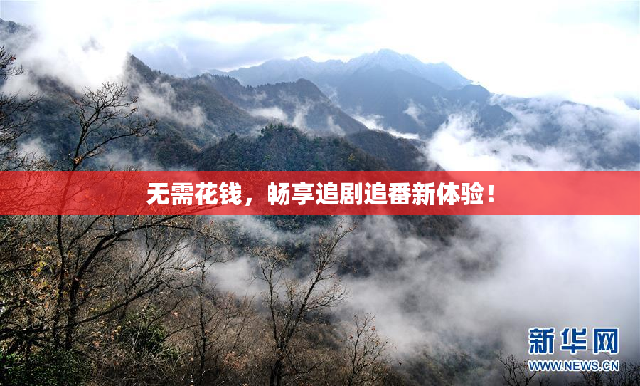无需花钱，畅享追剧追番新体验！