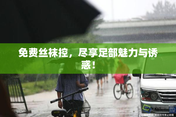 免费丝袜控，尽享足部魅力与诱惑！