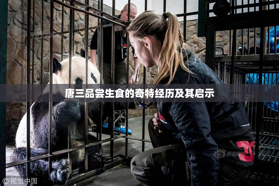 唐三品尝生食的奇特经历及其启示