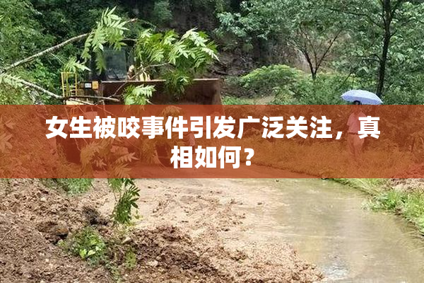 女生被咬事件引发广泛关注，真相如何？