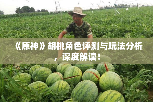 《原神》胡桃角色评测与玩法分析，深度解读！