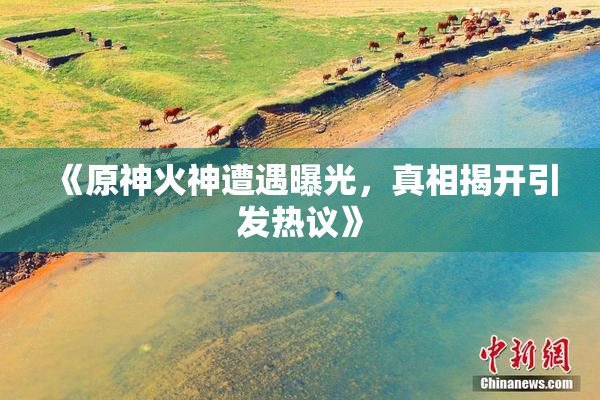 《原神火神遭遇曝光，真相揭开引发热议》