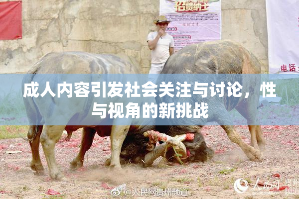 成人内容引发社会关注与讨论，性与视角的新挑战