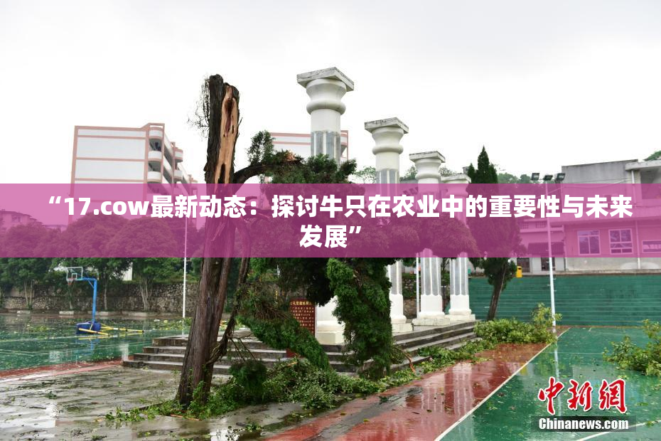 “17.cow最新动态：探讨牛只在农业中的重要性与未来发展”
