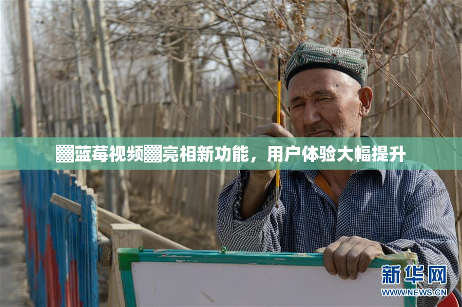 ▓蓝莓视频▓亮相新功能，用户体验大幅提升