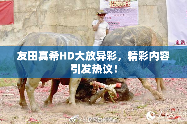 友田真希HD大放异彩，精彩内容引发热议！