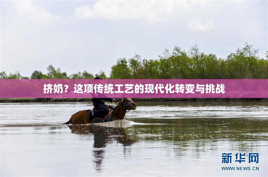 挤奶？这项传统工艺的现代化转变与挑战