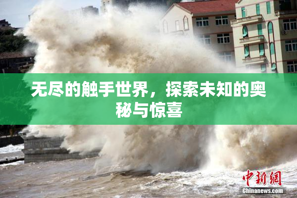 无尽的触手世界，探索未知的奥秘与惊喜