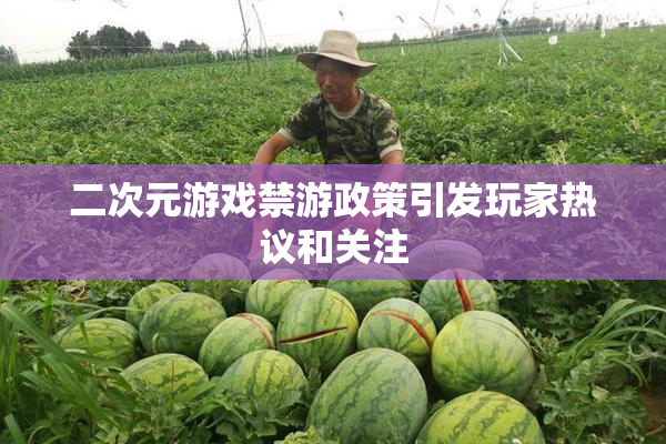 二次元游戏禁游政策引发玩家热议和关注