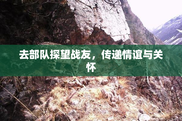 去部队探望战友，传递情谊与关怀