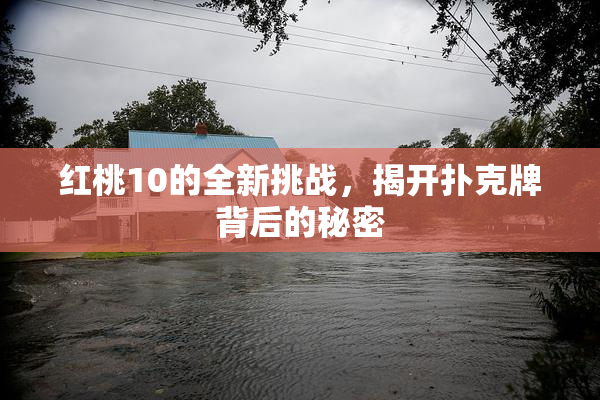 红桃10的全新挑战，揭开扑克牌背后的秘密