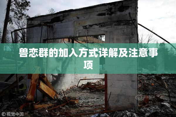 兽恋群的加入方式详解及注意事项