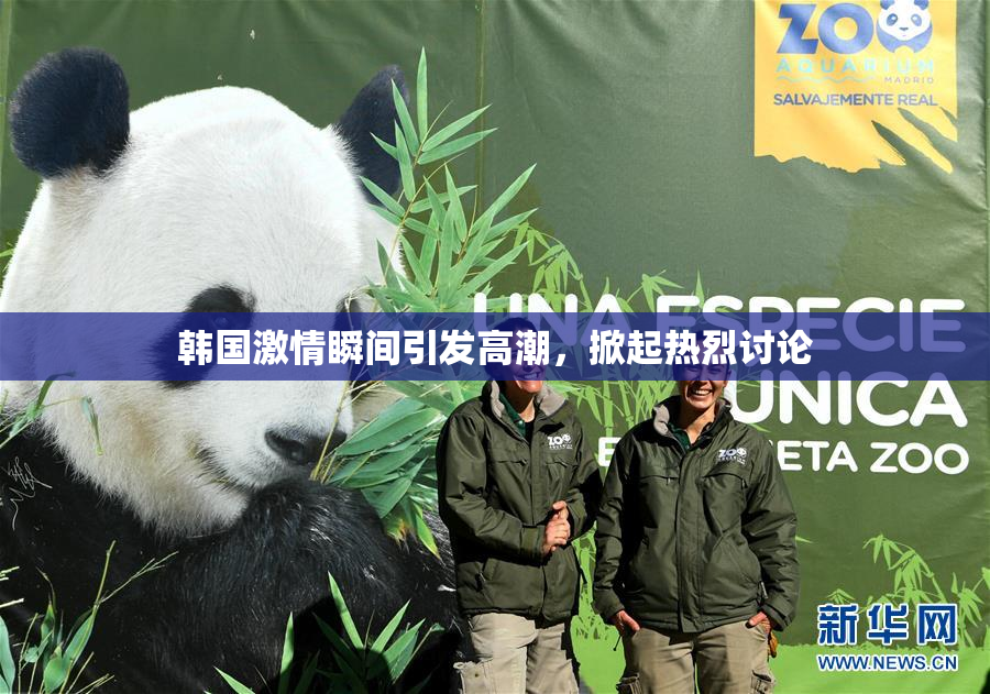 韩国激情瞬间引发高潮，掀起热烈讨论