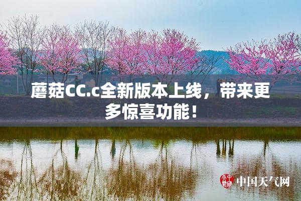 蘑菇CC.c全新版本上线，带来更多惊喜功能！