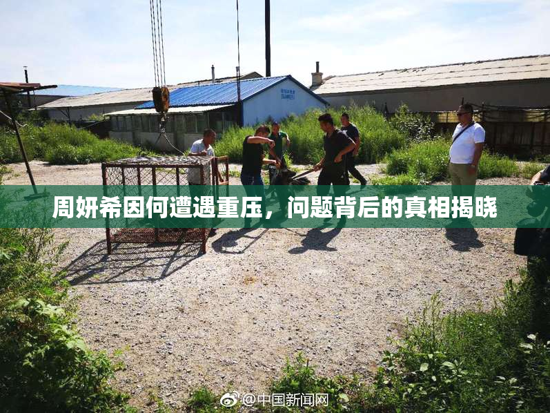 周妍希因何遭遇重压，问题背后的真相揭晓