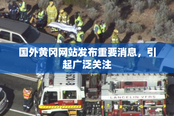 国外黄冈网站发布重要消息，引起广泛关注