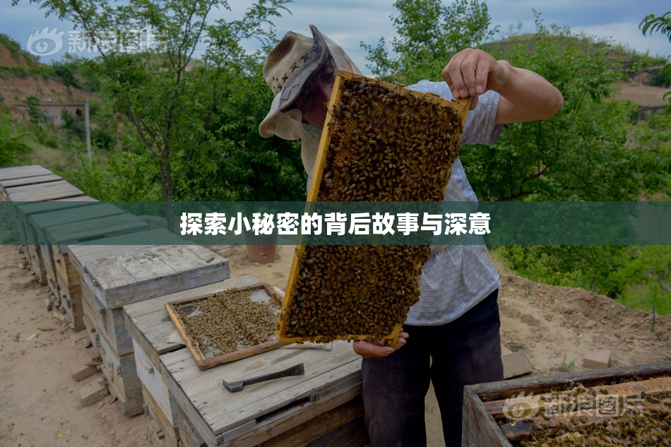 探索小秘密的背后故事与深意