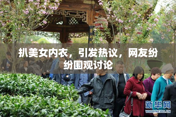 扒美女内衣，引发热议，网友纷纷围观讨论