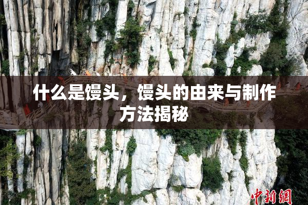 什么是馒头，馒头的由来与制作方法揭秘