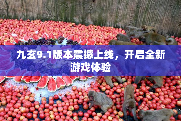 九玄9.1版本震撼上线，开启全新游戏体验