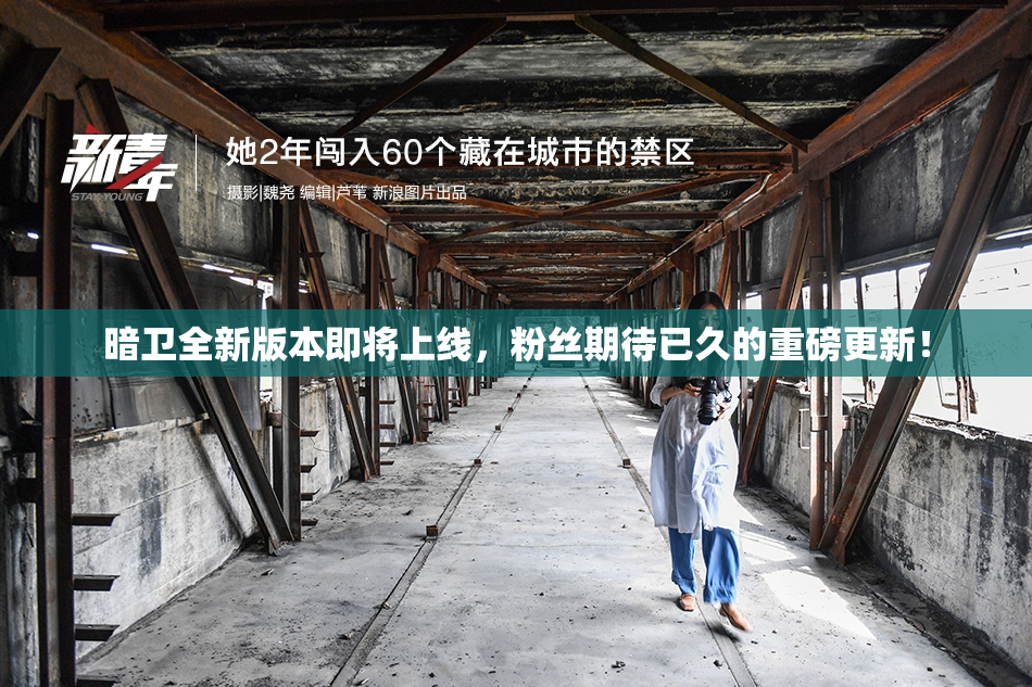 暗卫全新版本即将上线，粉丝期待已久的重磅更新！