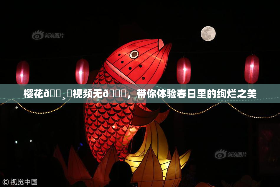 樱花🌸‌视频无🈚，带你体验春日里的绚烂之美
