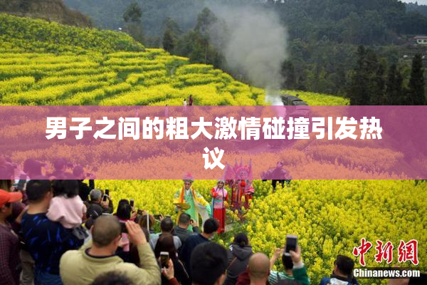 男子之间的粗大激情碰撞引发热议