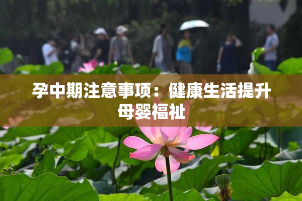 孕中期注意事项：健康生活提升母婴福祉