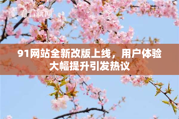 91网站全新改版上线，用户体验大幅提升引发热议
