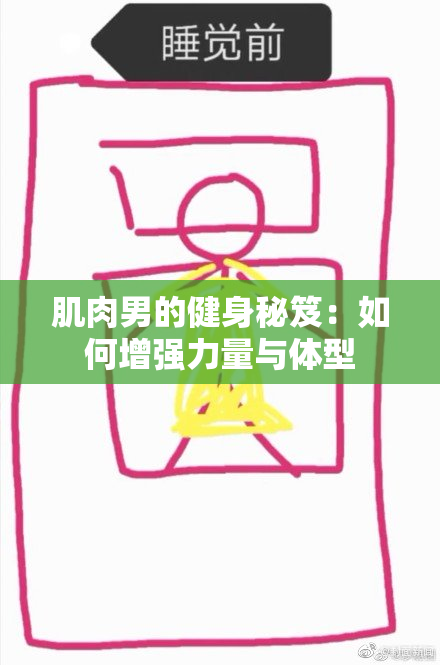 肌肉男的健身秘笈：如何增强力量与体型