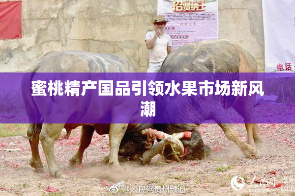 蜜桃精产国品引领水果市场新风潮