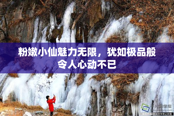 粉嫩小仙魅力无限，犹如极品般令人心动不已