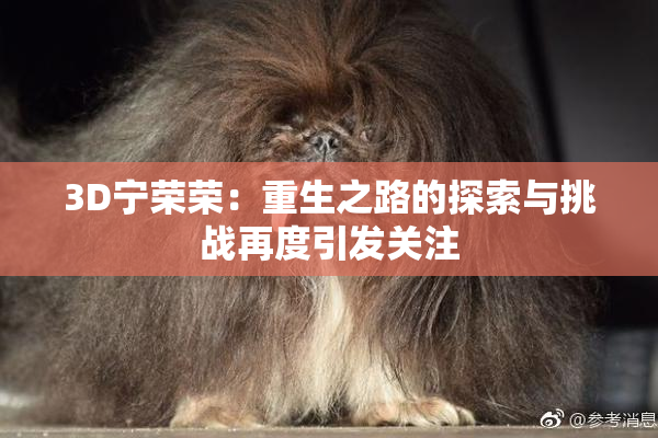 3D宁荣荣：重生之路的探索与挑战再度引发关注